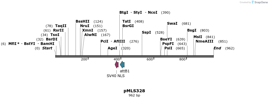 139511_map