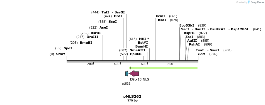 139513_map