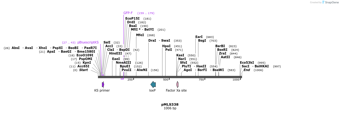 139518_map