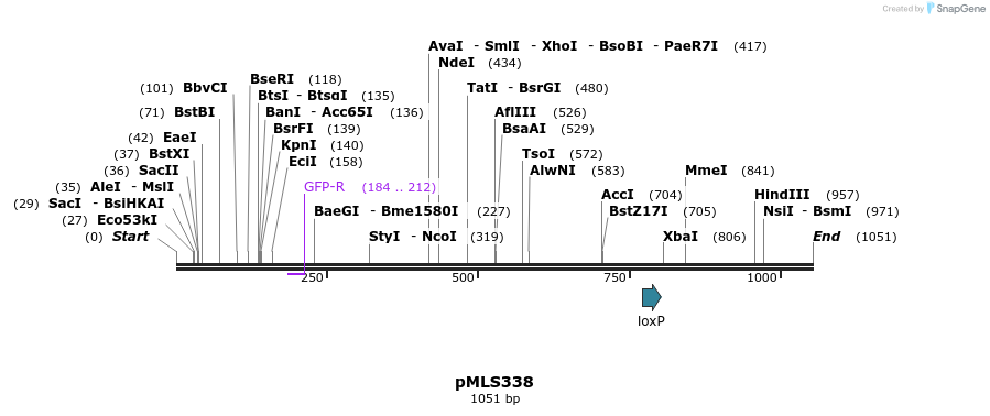 139519_map