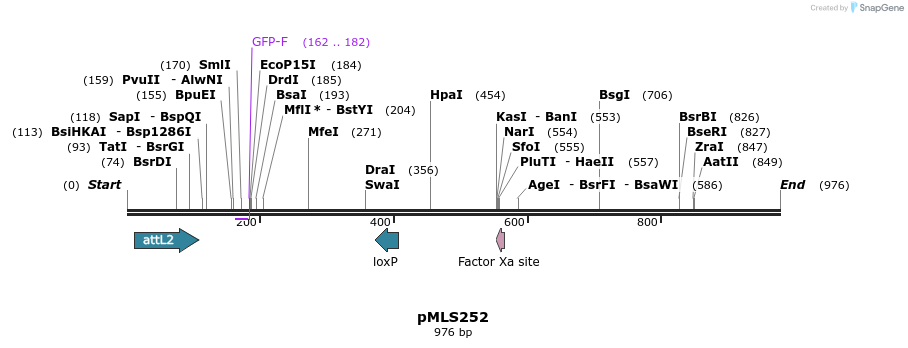 139523_map