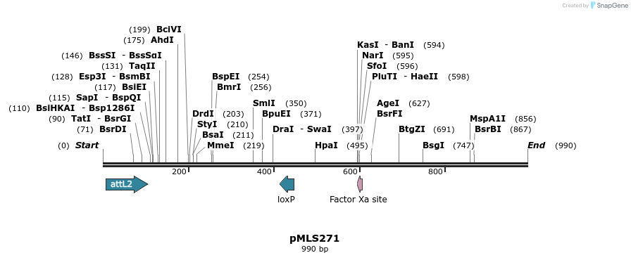139529_map