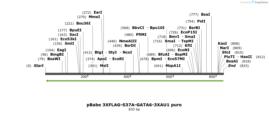 139544_map