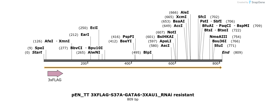 139545_map