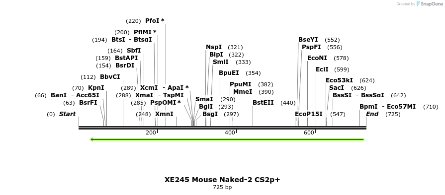 139546_map