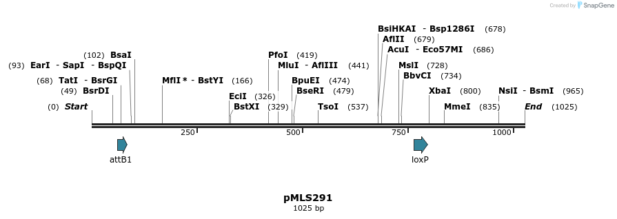 139551_map