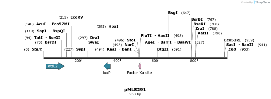 139552_map