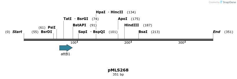 139558_map