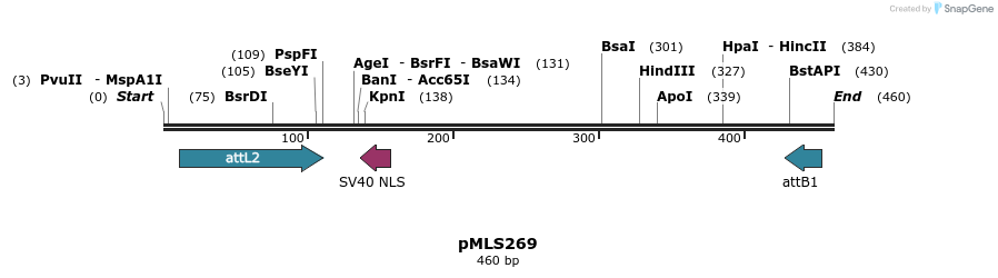 139561_map