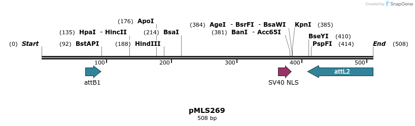 139562_map