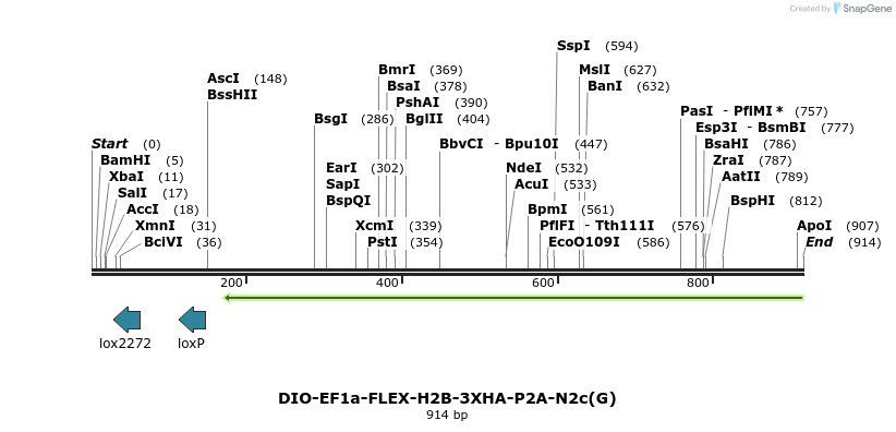 139570_map