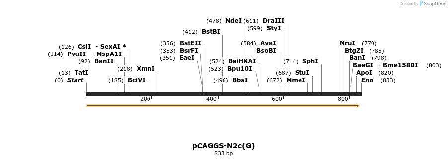 139575_map