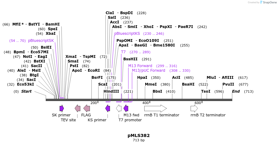 139577_map