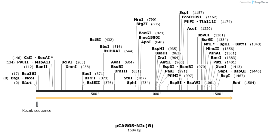 139578_map