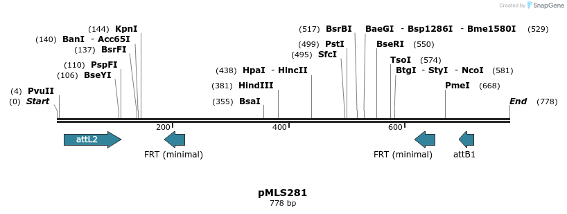 139586_map