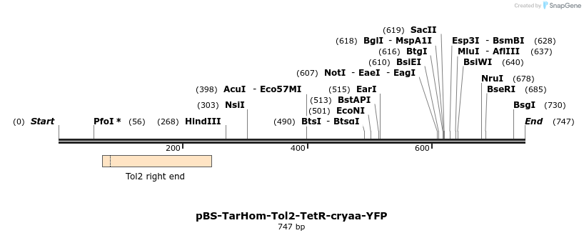 139591_map