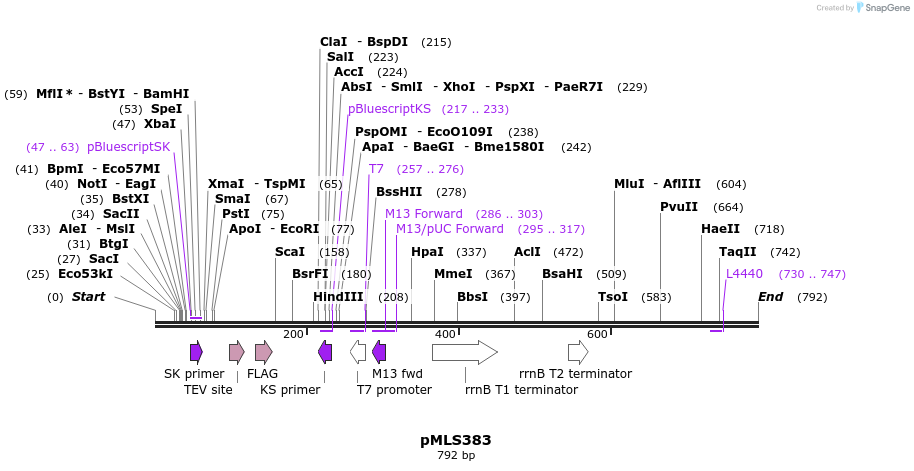 139598_map