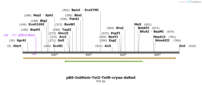 139602_map