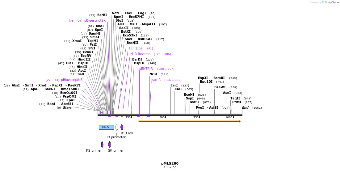 139603_map