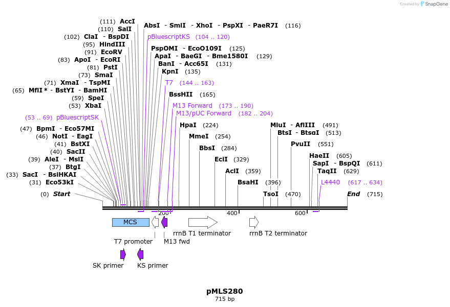 139604_map