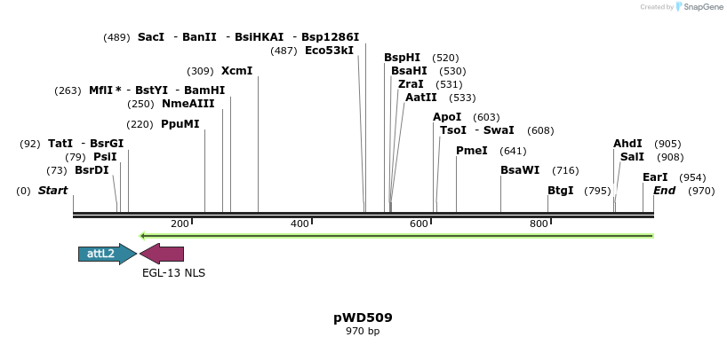 139605_map
