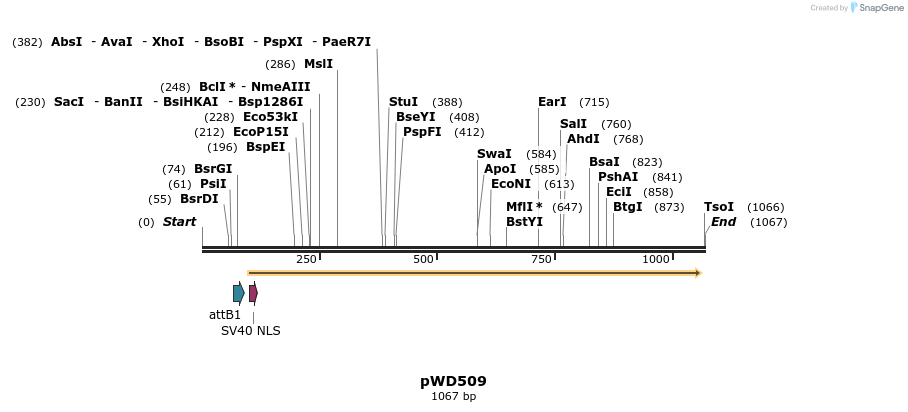 139606_map