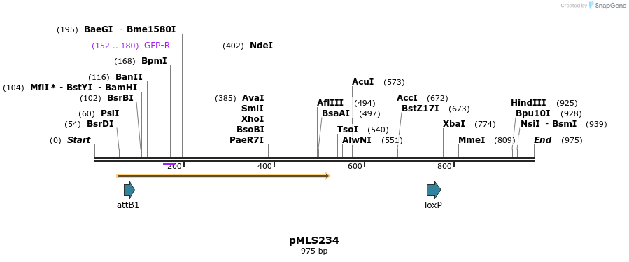139607_map