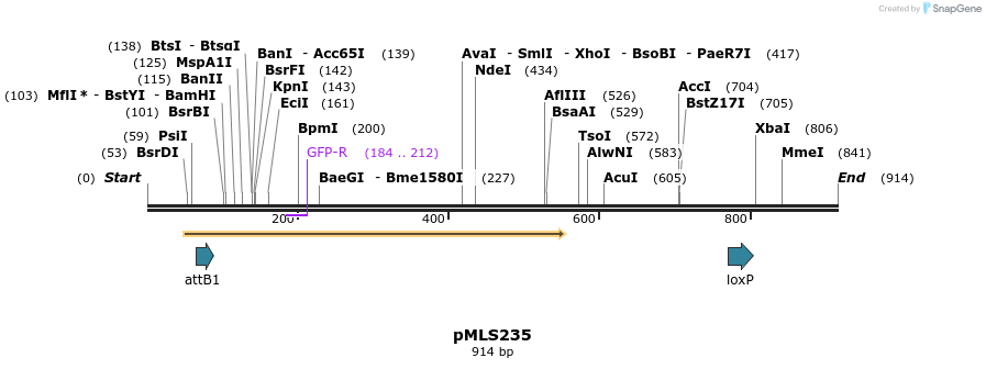 139610_map