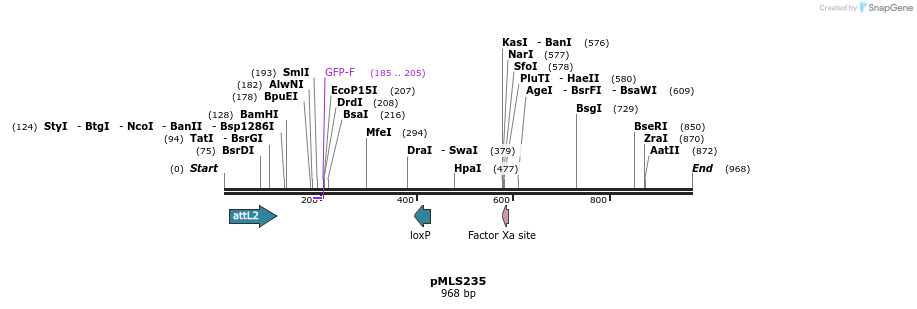139611_map
