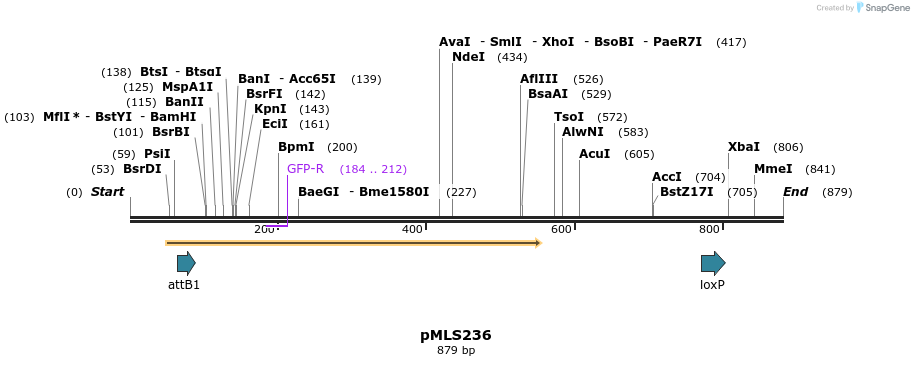 139613_map