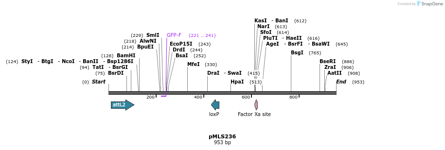 139614_map
