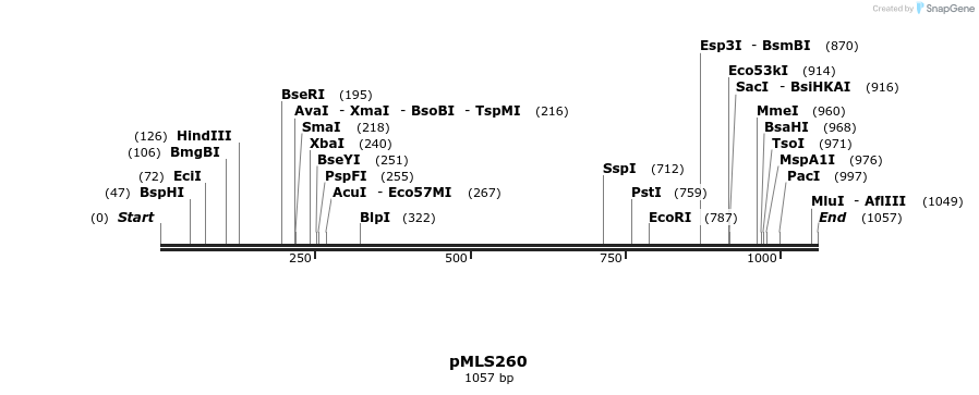 139617_map