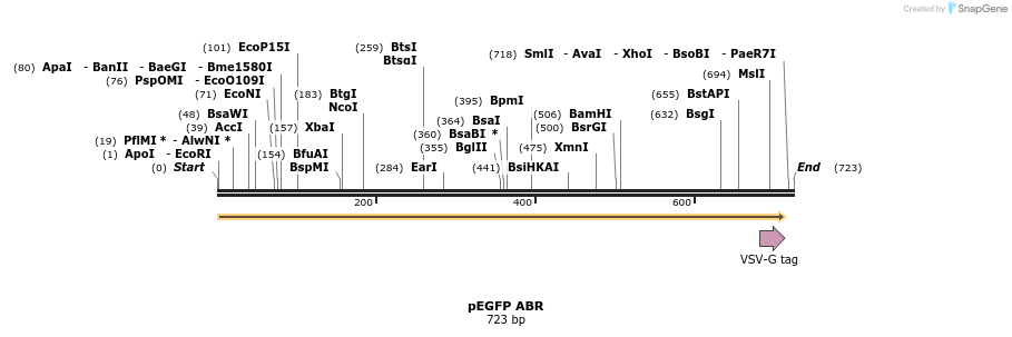 13962_map