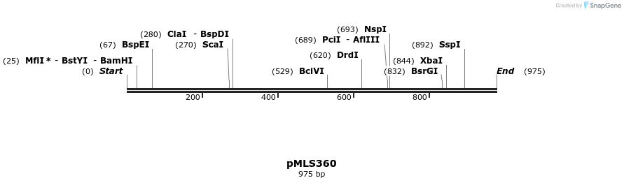 139624_map