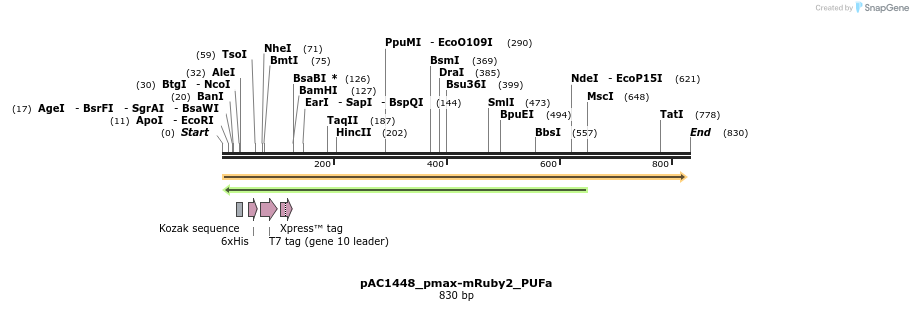 139626_map