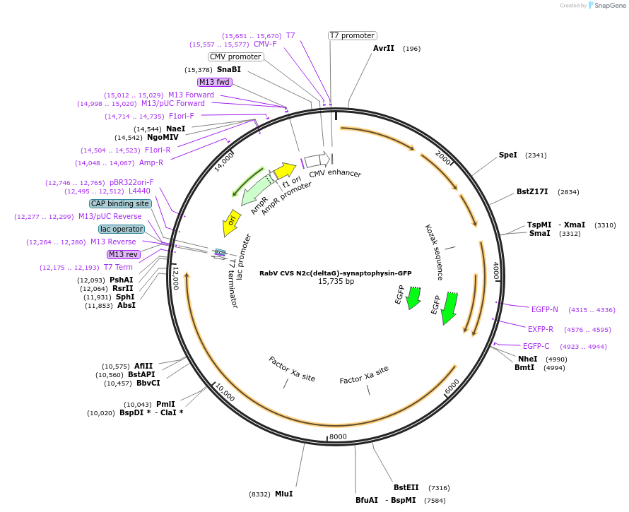 139631_map