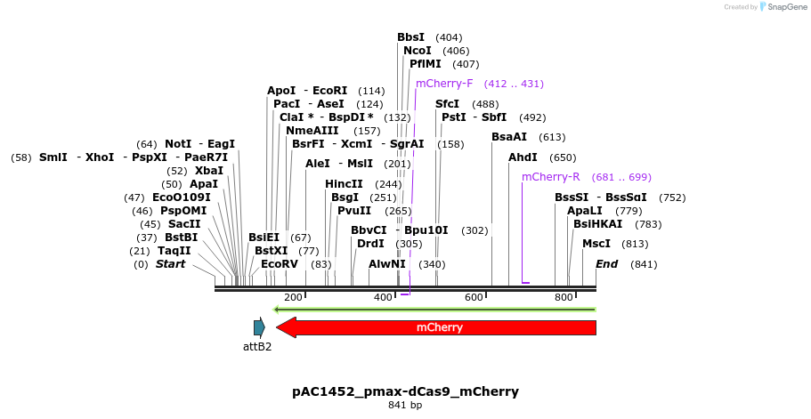 139638_map