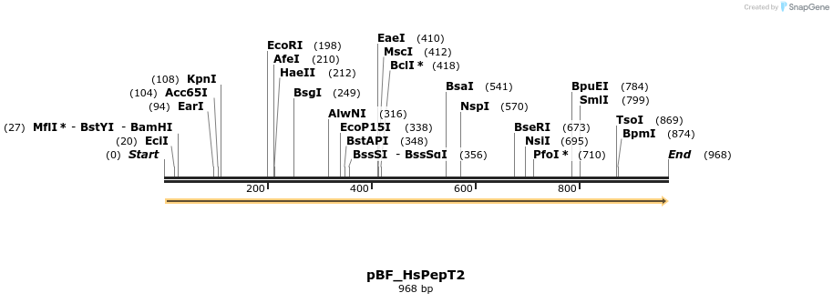 139641_map