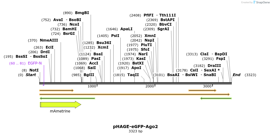 139649_map