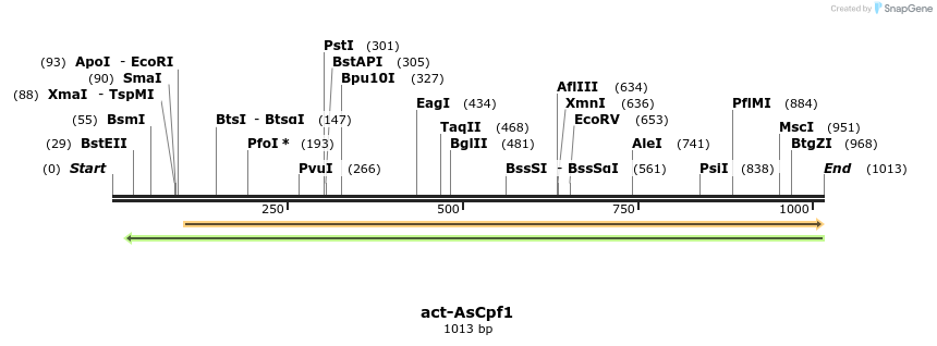 139652_map