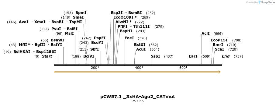 139662_map
