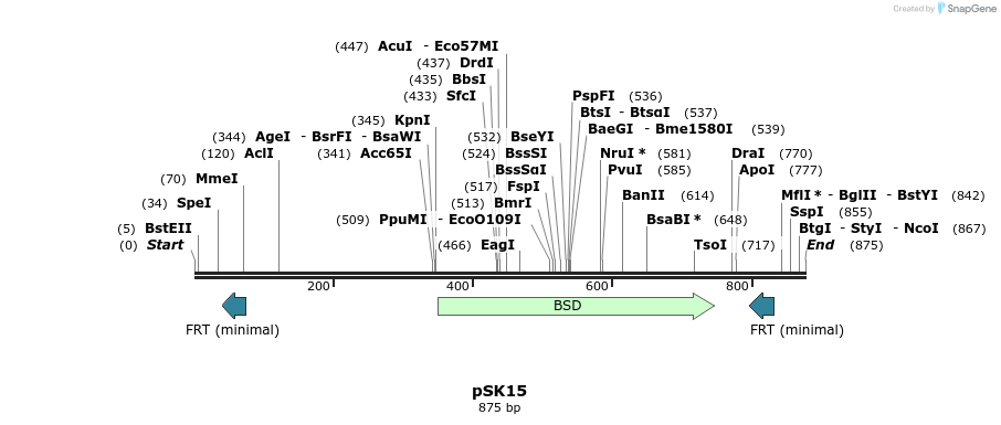 139667_map