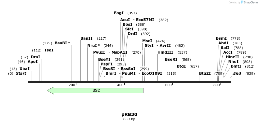 139682_map