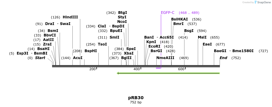 139683_map
