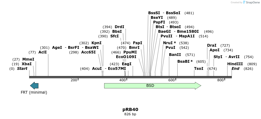 139699_map