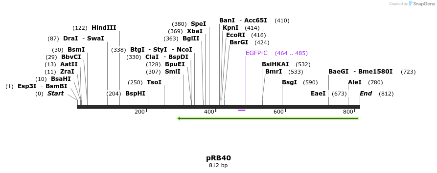 139700_map