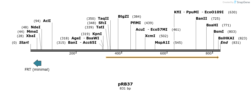 139707_map