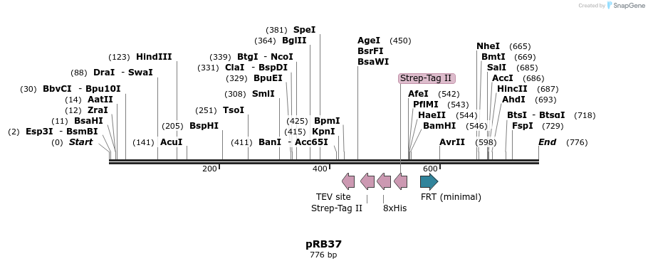 139708_map