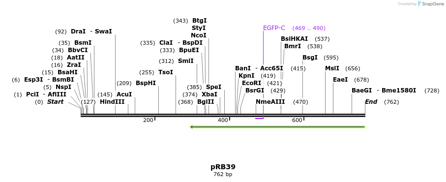 139711_map