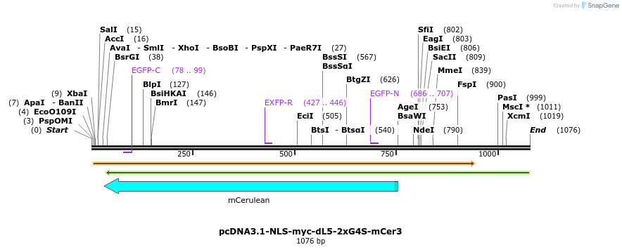 139716_map